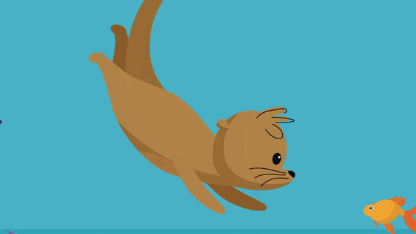 olli diving animation