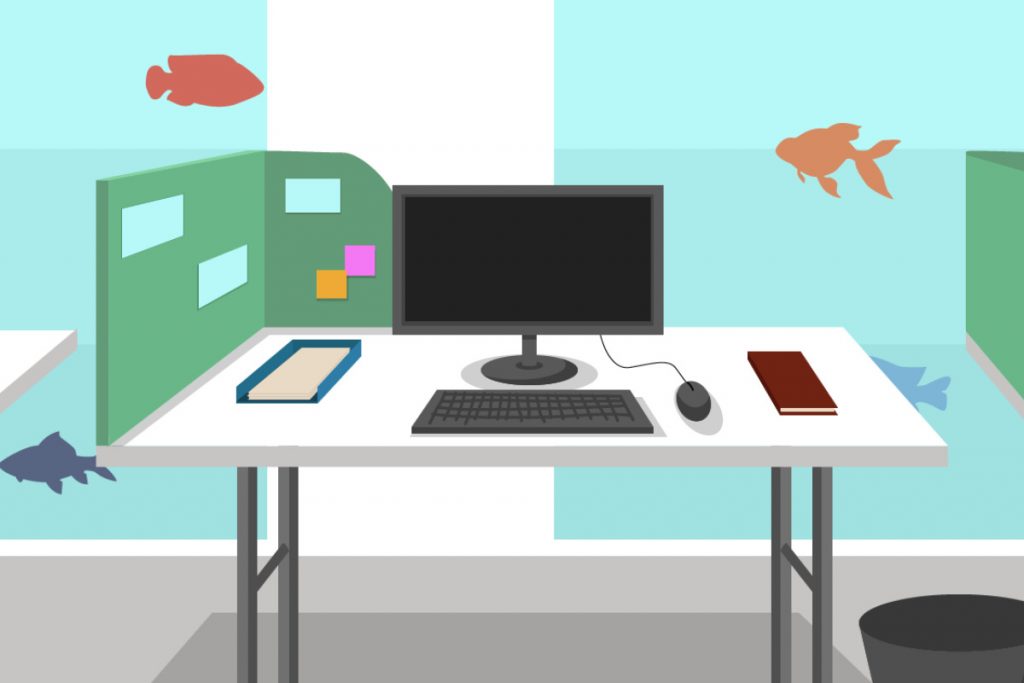 Olli in the enchanted cove