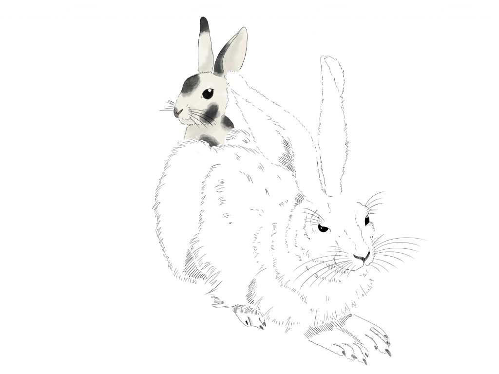 D772C8BE-B695-403E-A00D-7F64FC48A9F0